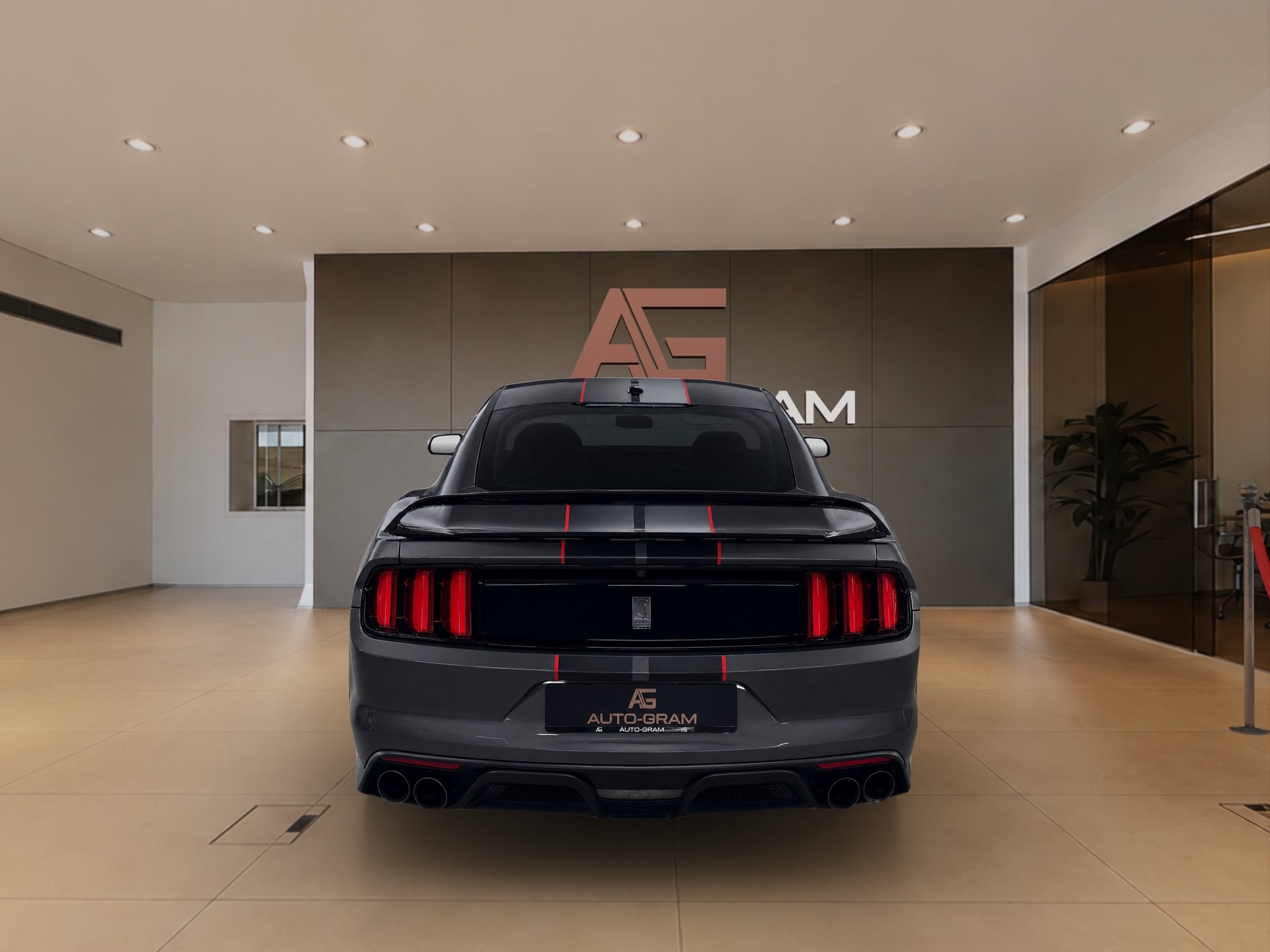 Ford Mustang Ford Mustang Shelby GT350 – Bild 4
