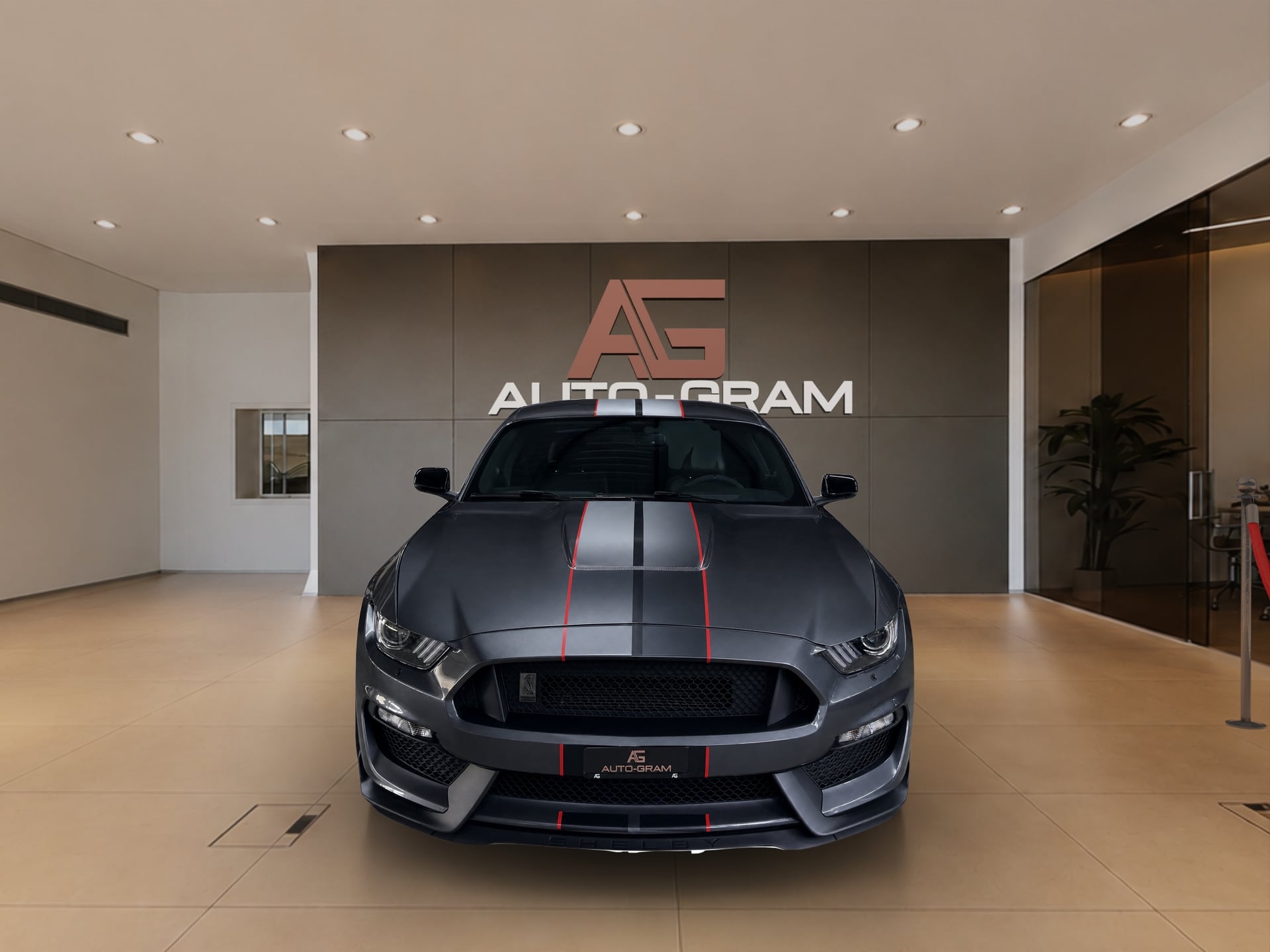 Ford Mustang Ford Mustang Shelby GT350 – Bild 8