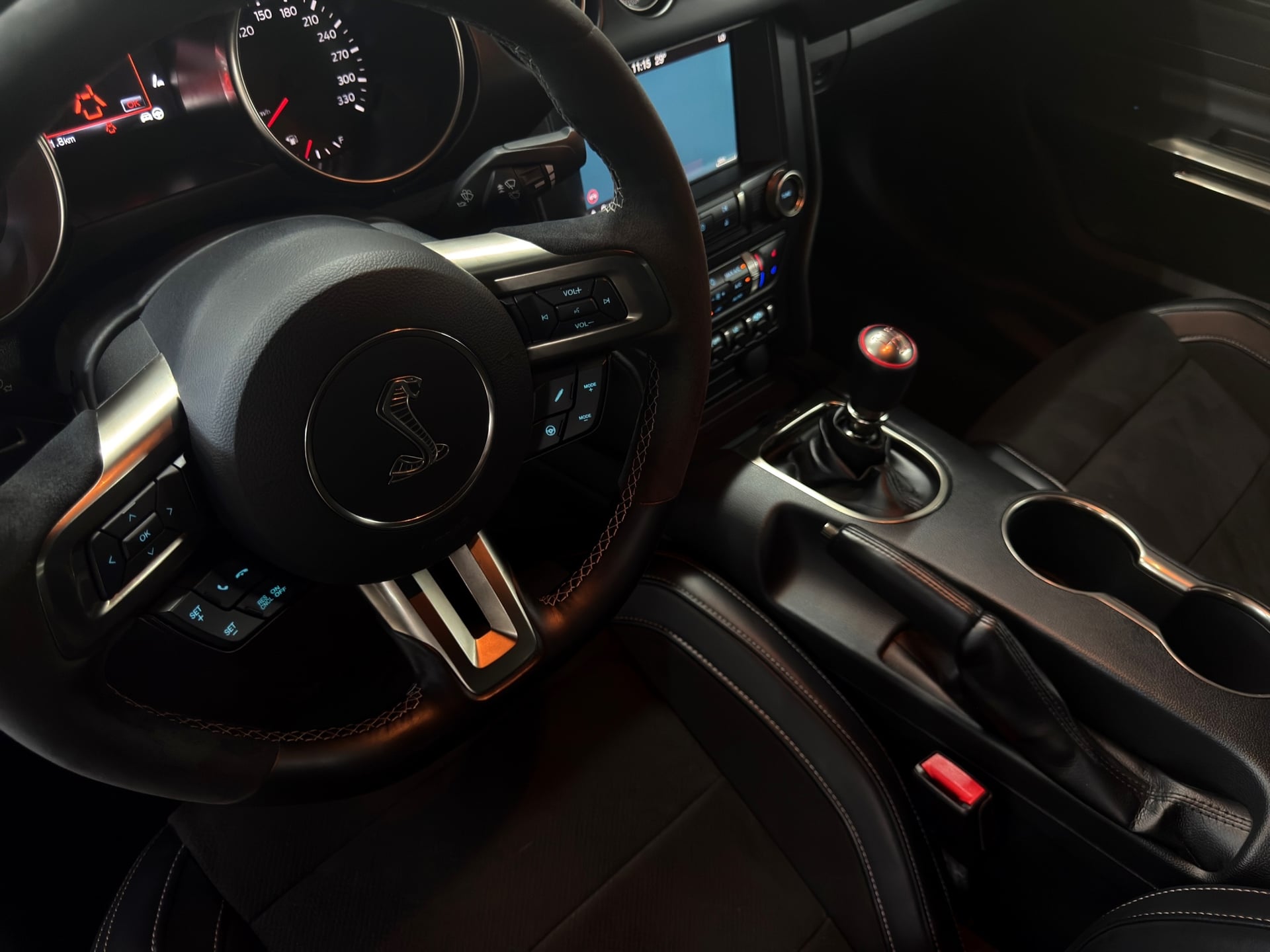 Ford Mustang Ford Mustang Shelby GT350 – Bild 20